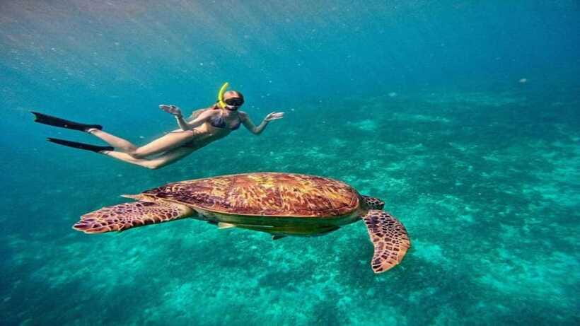 Gili Trawangan: Private Snorkeling 4 Spot with Gopro Camera - Who will enjoy this snorkeling trip most?