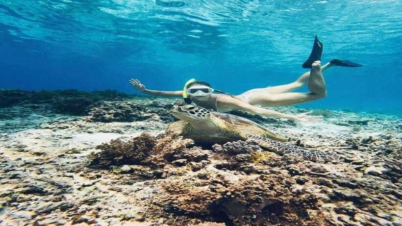 Gili Trawangan: Private Snorkeling 4 Spot with Gopro Camera - Should you book the Gili Trawangan private snorkeling trip?