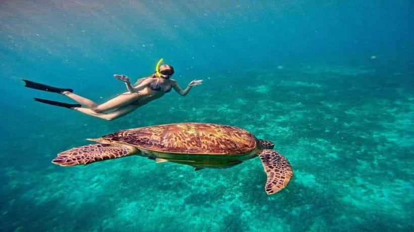 Gili Trawangan: Private Snorkeling 4 Spot with Gopro Camera - The one-hour island break