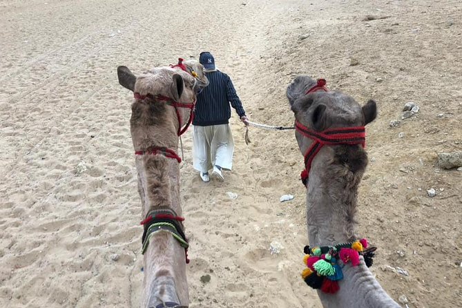 Giza Pyramids Sphinx Camel Ride Lunch with Camera Photographer - Timing, communication, and cancellation