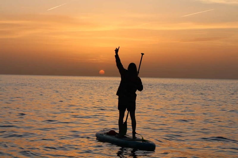 Golfo Aranci: Sup with dolphins, aperitif & photo shoot - Key points to know