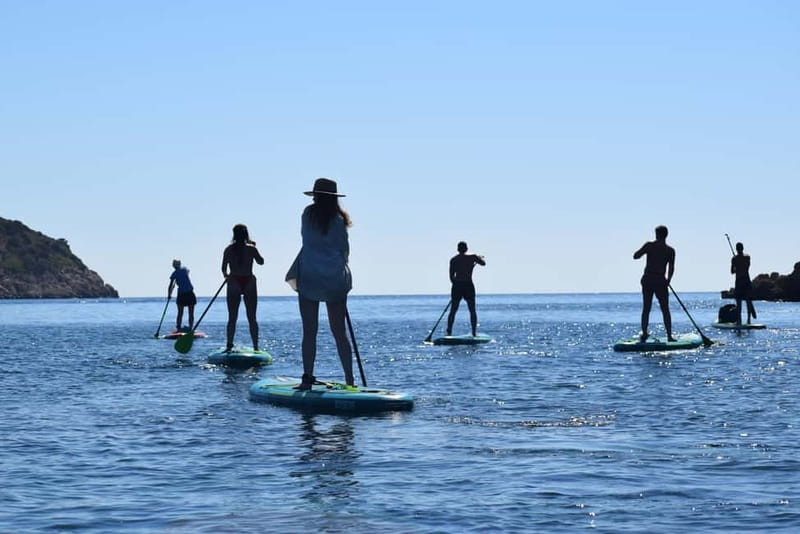 Golfo Aranci: Sup with dolphins, aperitif & photo shoot - Isola di Figarolo: the prettiest part of the route