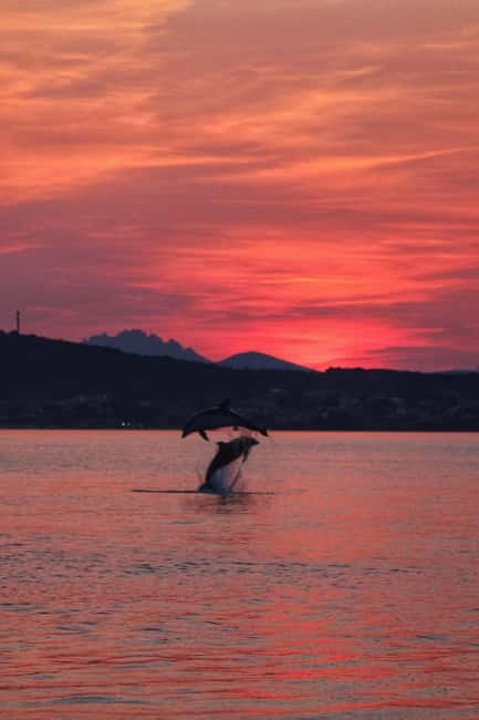 Golfo Aranci: Sup with dolphins, aperitif & photo shoot - Photos, drone views, and what you receive