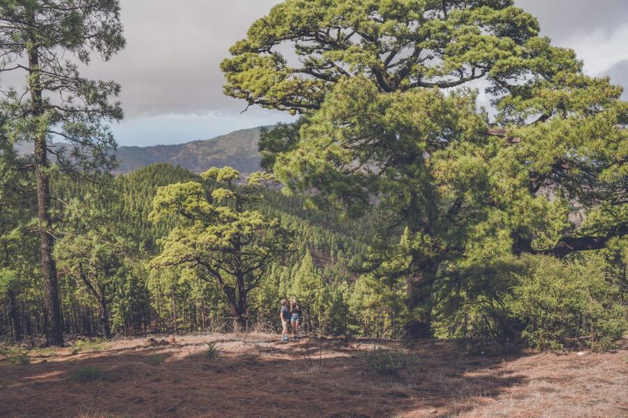 Gran Canaria: Full-Day Customizable Private Photography Tour - Tilos de Moya and the greener north