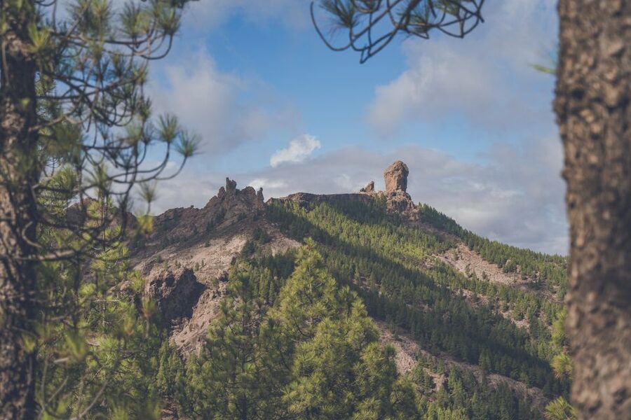Gran Canaria: Full-Day Customizable Private Photography Tour - The optional cave-restaurant lunch