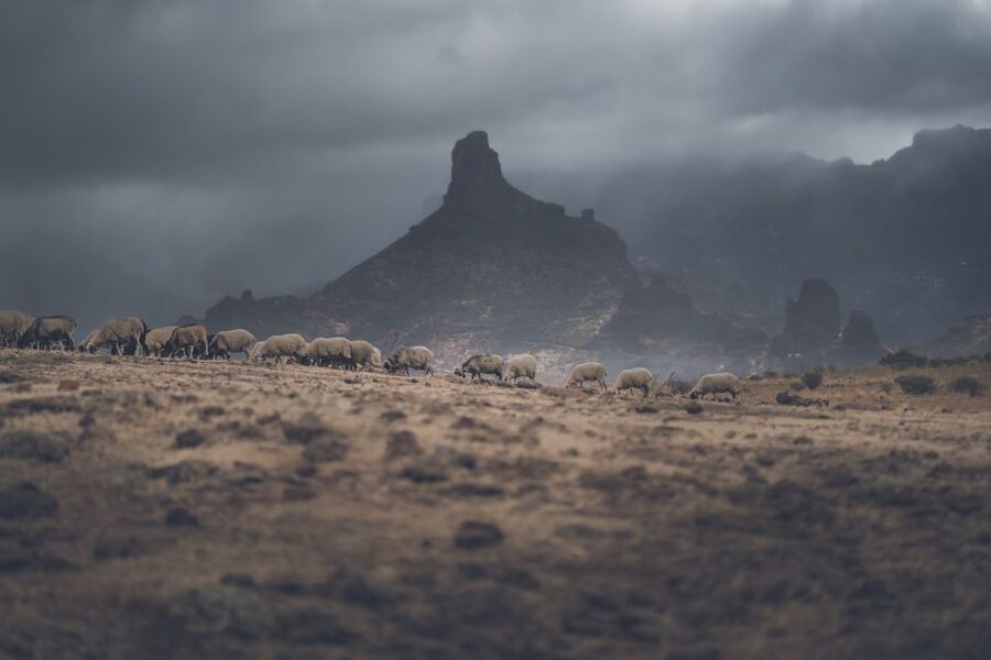 Gran Canaria: Full-Day Customizable Private Photography Tour - A personal photographer changes the pace