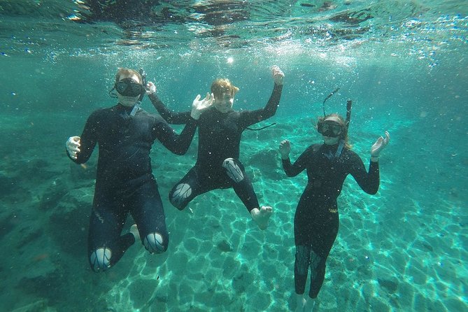 Guided Small Group Manatee Snorkeling Tour with In-Water Photographer - Why a six-person manatee tour changes the experience
