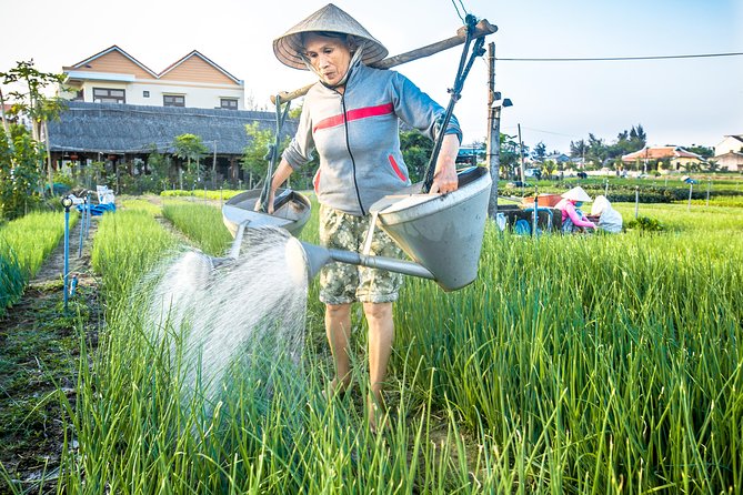 Half-day Hoi An Sunrise Or Sunset Photo Tour - Why the quiet edge of Hoi An makes better pictures