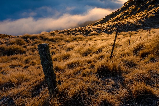 Half-Day Queenstown Photography Tour - What to bring and how to prepare