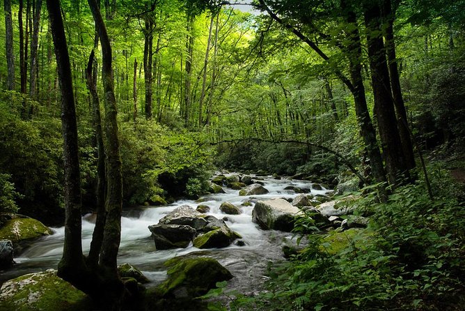 Half-Day Tour With Instruction in Vistas & Waterfall Photography - Weather, Flexibility, and the Half-Day Format