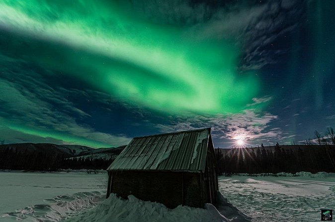 Half Night Personalized Aurora Chase and Photography - What the Guide Can Change on the Night