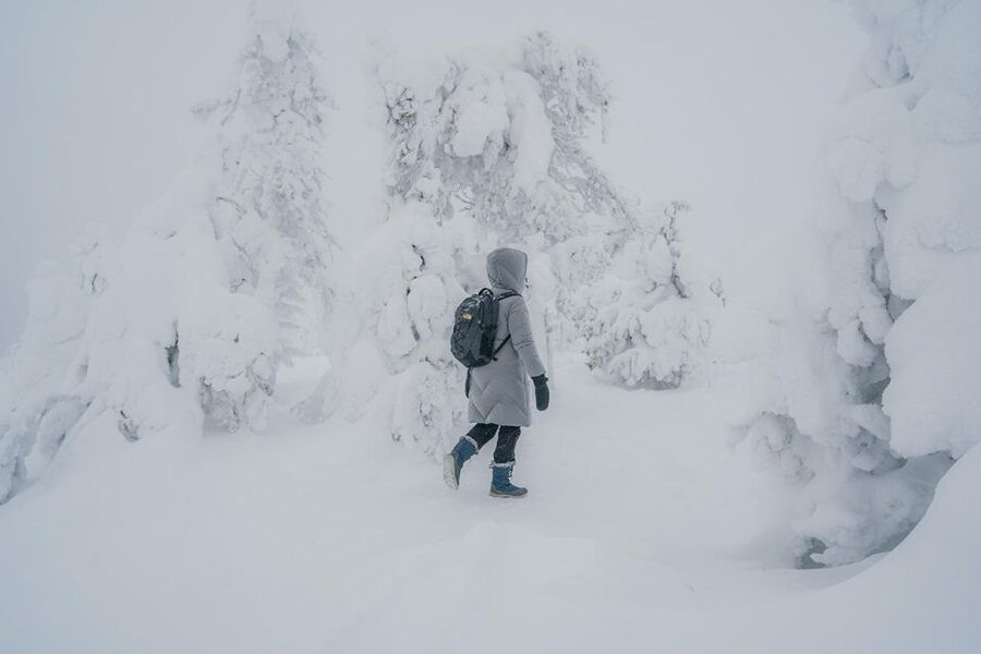 Hiking in Riisitunturi National Park with Photographer - Key points to know before booking