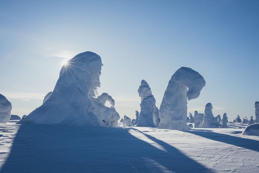 Hiking in Riisitunturi National Park with Photographer - Who will enjoy this most