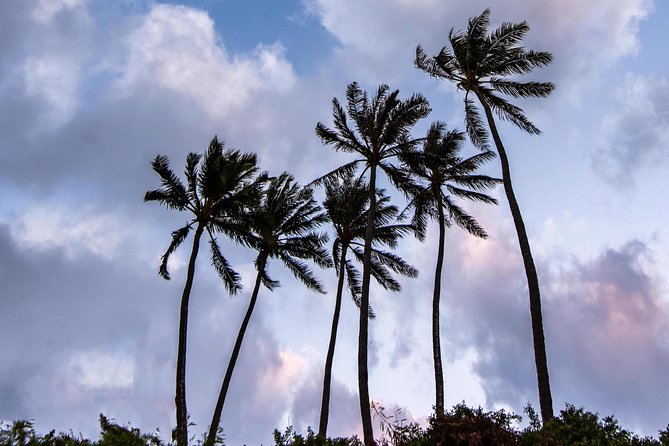 Honolulu Sea-Cliff with Sunset Photo Adventure - Photography Help for Phones and Cameras