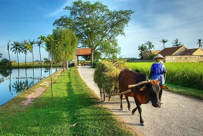 Instagram Tour Duong Lam Ancient Village with Train Street Visit - What the five-hour village visit means for you
