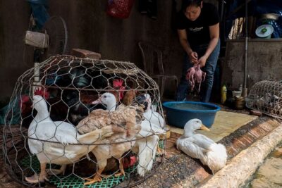 Into the Thieves Market Hanoi Photo Tour