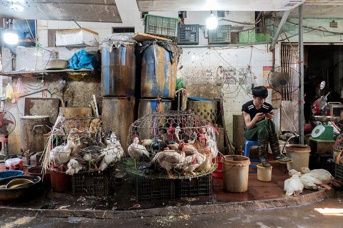 Into the Thieves Market Hanoi Photo Tour - Who Will Get the Most From This Experience
