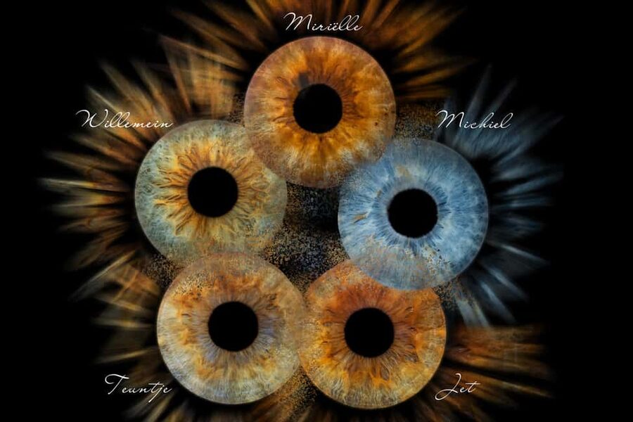 IRIS Photography (macro photo of your eye) - What happens during the 10-minute session