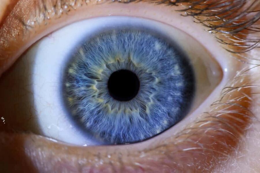 IRIS Photography (macro photo of your eye) - Why this works as a Split souvenir