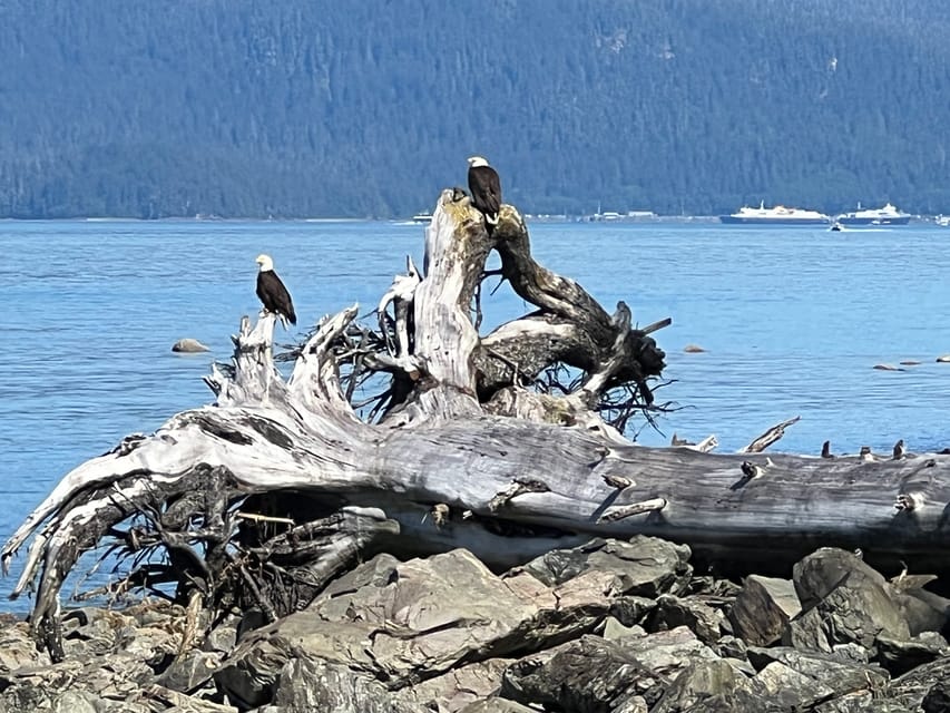 Juneau: Rainforest Photo Safari on a Segway - What $164 buys you