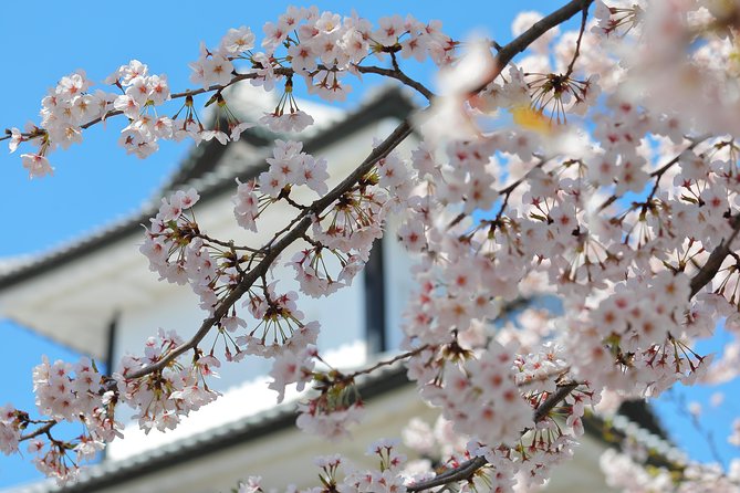 Kanazawa private half day/Photoshoot by professional photographer - Kanazawa Castle and the Maeda story