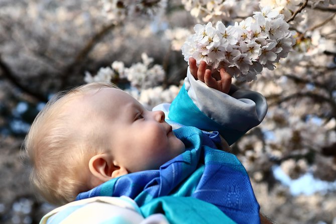 Kanazawa private half day/Photoshoot by professional photographer - Optional Ochaya Shima and the cost of entering