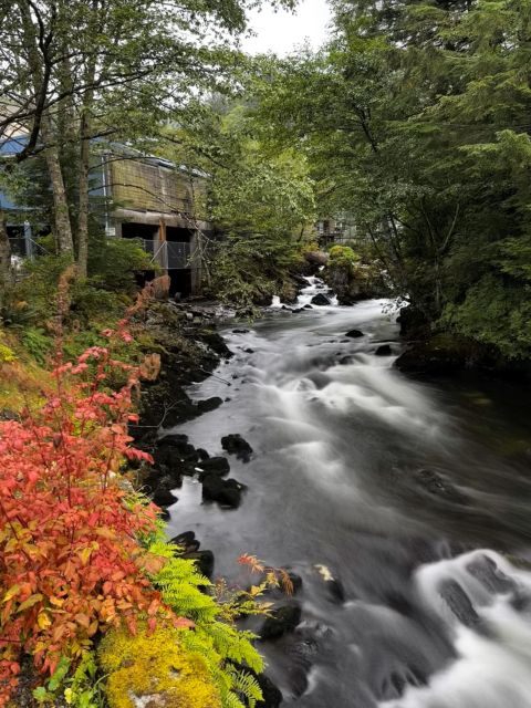 Ketchikan Photo Safari - Key points at a glance