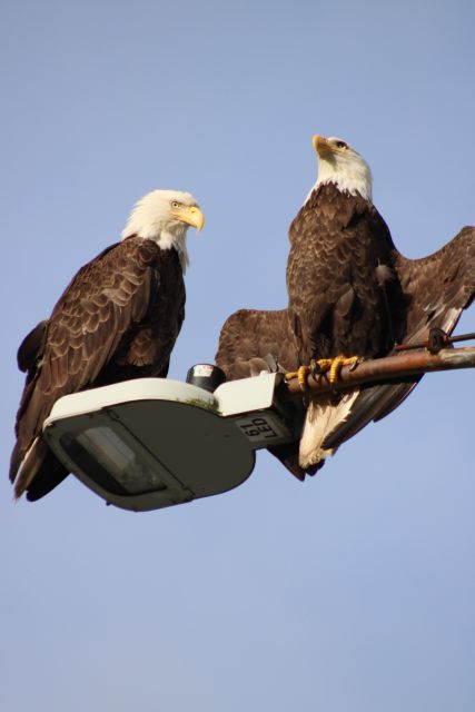 Ketchikan Photo Safari - Walking, weather, and equipment advice