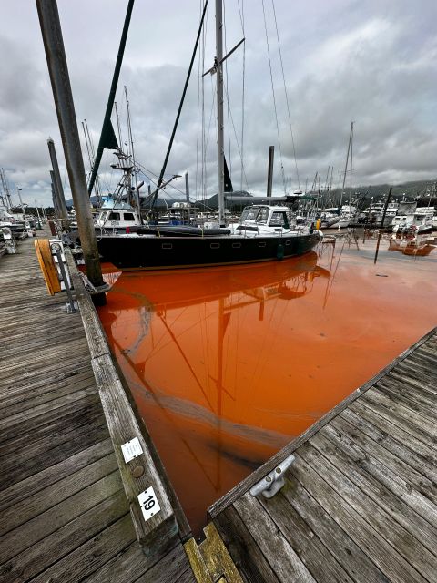 Ketchikan Photo Safari - Potlatch Park and the Fog Woman legend