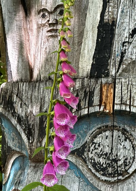 Ketchikan Photo Safari - What the $135 price buys you
