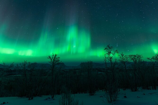 Kiruna Northern Lights Tour with Photographer - Who will enjoy this Kiruna aurora tour