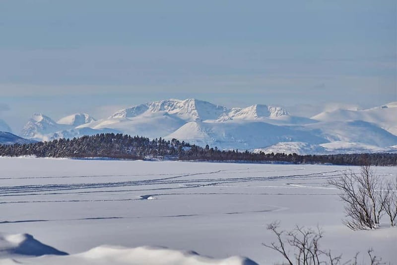 Kiruna: Wildlife and nature photography - Who should book this outing?