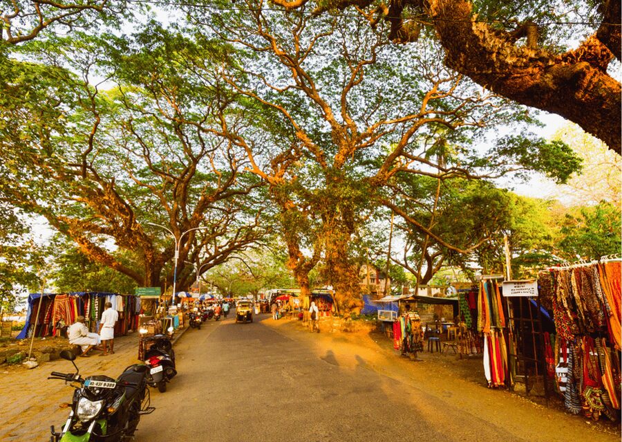 Kochi Insta Photo Walk with Tuk Tuk Ride Experience - Santa Cruz Basilica and the first Fort Kochi photographs