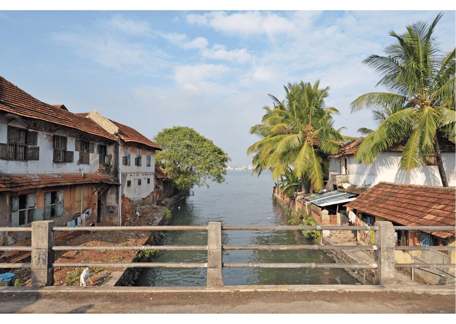 Kochi Insta Photo Walk with Tuk Tuk Ride Experience - Who will enjoy this Kochi photo walk?