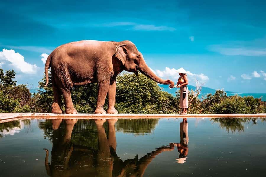Koh Samui: Private Photoshoot for Couples & Families - Choosing between a beach, viewpoint, and waterfall