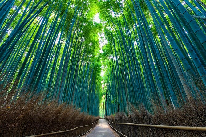 Kyoto 6hr Instagram Highlights Private Tour with Licensed Guide - Arashiyama: bridge views and the bamboo path