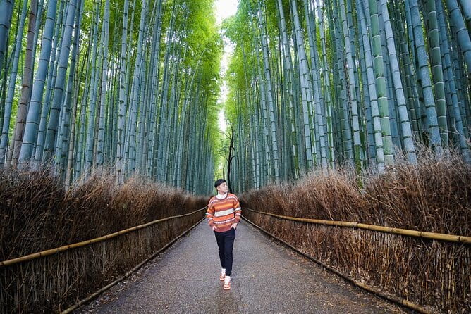 Kyoto Photography Masterclass - Private Photography Lesson - Yasaka Shrine: structure, color, and changing light