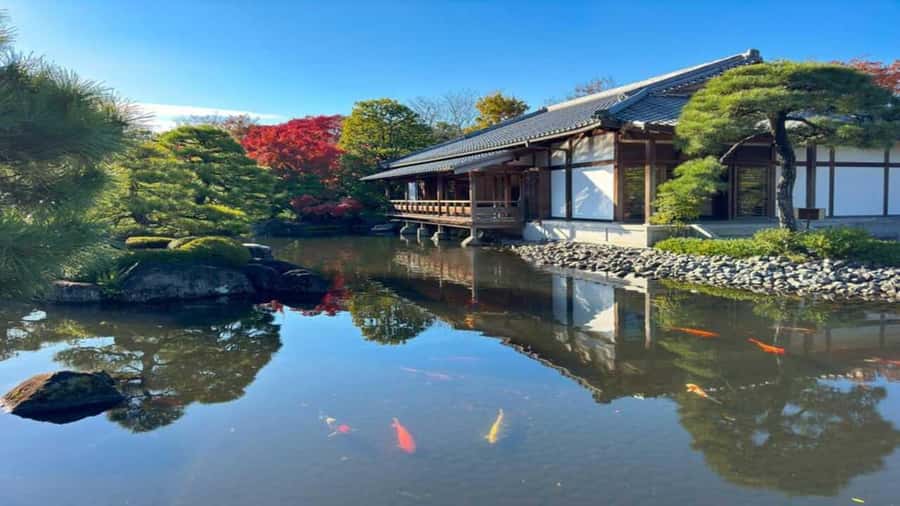 Kyoto:Private Tour/Luxury Vehicle with Guide & photographer - Fushimi Inari Taisha and its famous red gates
