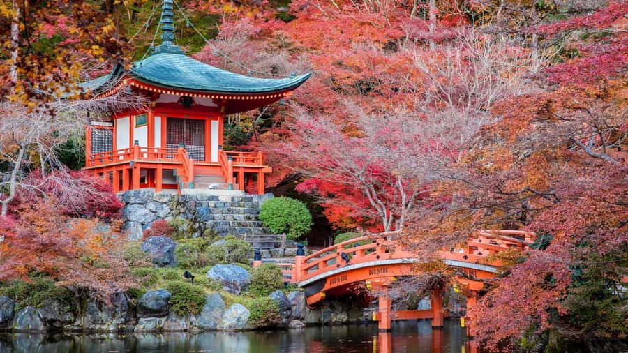 Kyoto:Private Tour/Luxury Vehicle with Guide & photographer - How much can you really see in one day?
