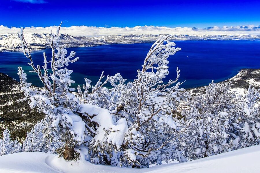 Lake Tahoe: Half-Day Photographic Scenic Tour - Key points at a glance