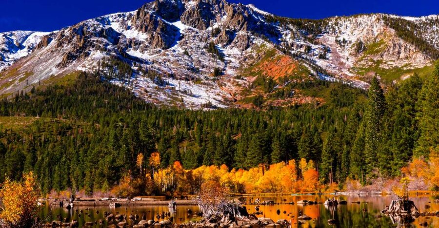 Lake Tahoe: Half-Day Photographic Scenic Tour - Why this half-day tour works well