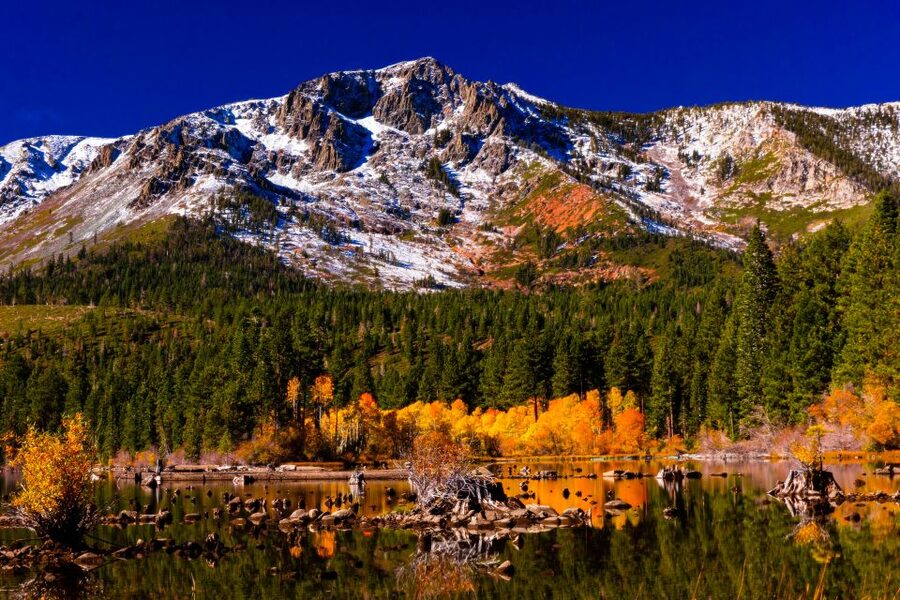 Lake Tahoe: Half-Day Photographic Scenic Tour - Starting beside Mt. Tallac at a quiet beach