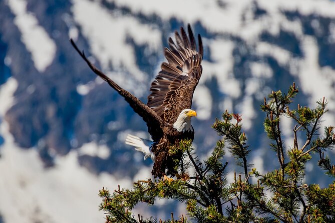 Lake Tahoe Small-Group Photography Scenic Half-Day Tour - Is $195 per person a fair price?