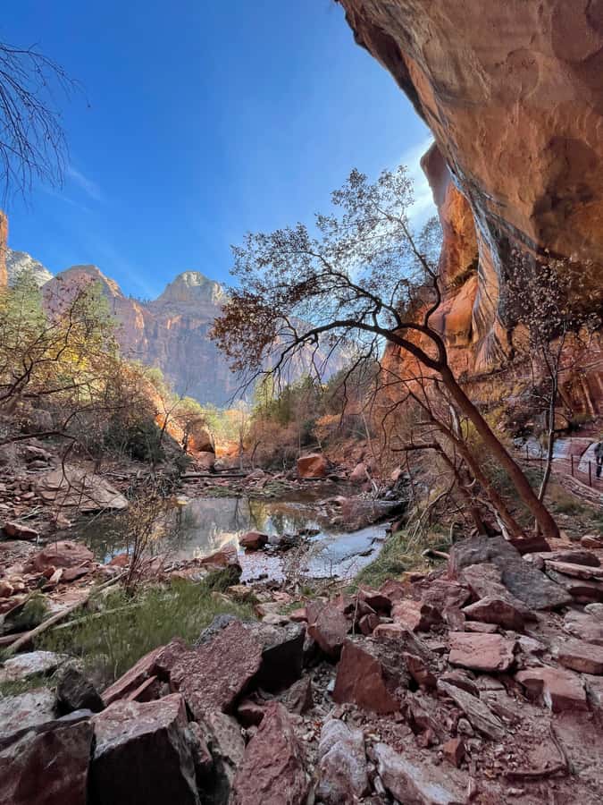 Las Vegas: VIP Guided Photography & Hiking Tour of Zion NP - Lunch in Springdale