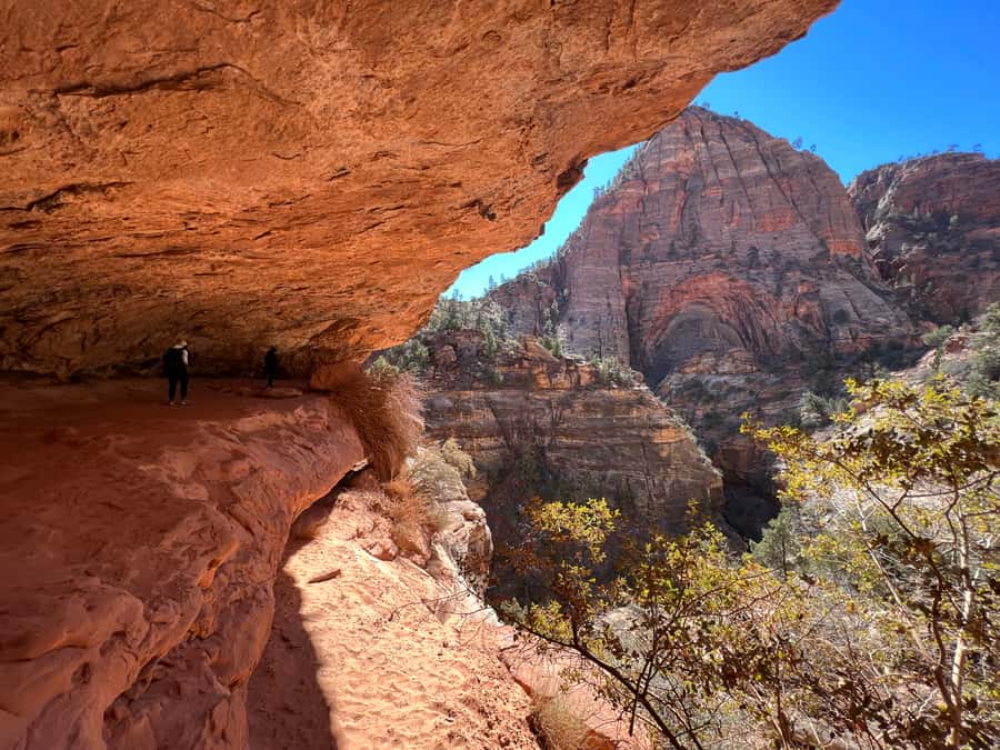 Las Vegas: VIP Guided Photography & Hiking Tour of Zion NP - Practical Tips Before You Go
