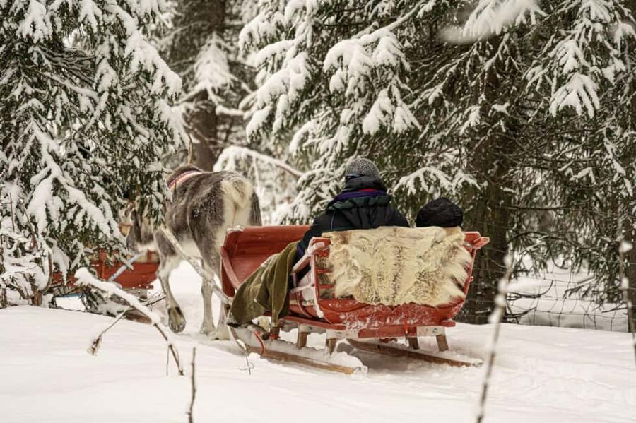 Levi: Authentic Reindeer Sled Ride with Photographer - A quiet start from Levi to the reindeer farm