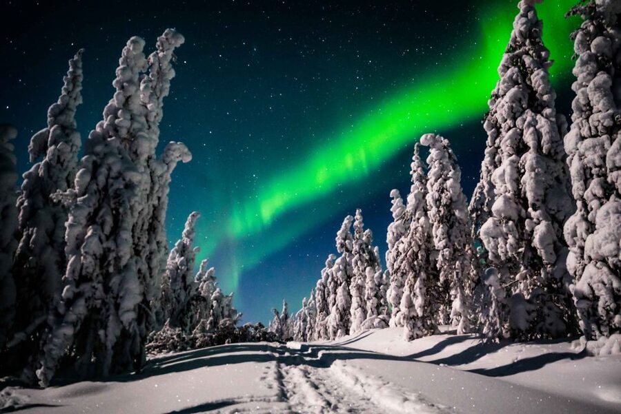 Levi: Best & Original Northern Lights Hunting & photography - The photography service is a major part of the value