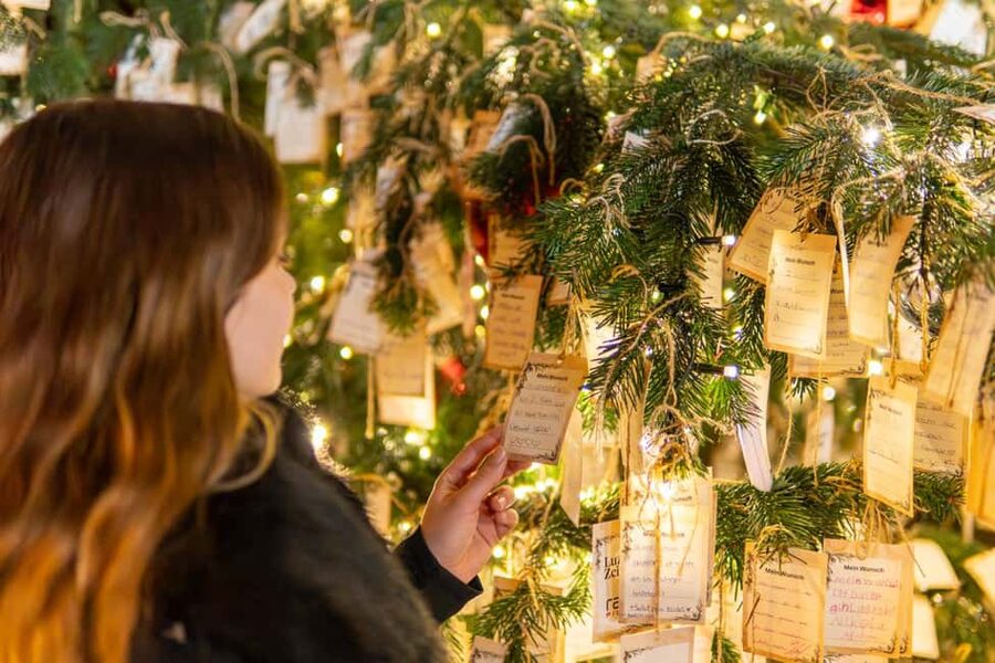 Lucerne: Lake Cruise & Old Town Tour w/ Guide & Photographer - Christmas markets and Swiss seasonal traditions