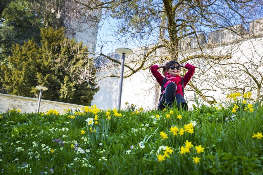 Lucerne: Photography Walking Tour - What the $146 price includes
