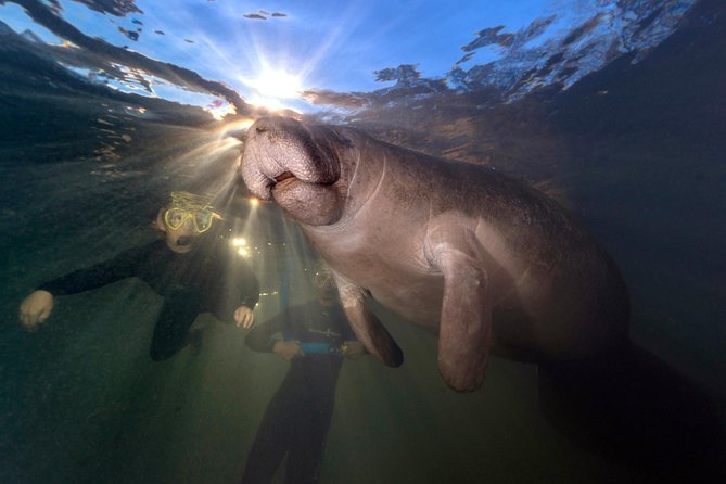 Manatee Swim Tour with In Water Photographer - Cruising through the refuge on a certified boat
